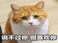淮安春之宇网络科技有限公司