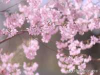 淮安春之宇网络科技有限公司