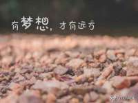 淮安春之宇网络科技有限公司