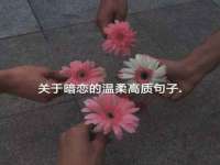 淮安春之宇网络科技有限公司