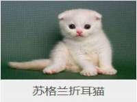 淮安春之宇网络科技有限公司