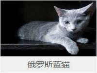 淮安春之宇网络科技有限公司