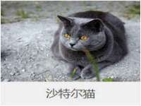 淮安春之宇网络科技有限公司