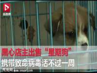 淮安春之宇网络科技有限公司