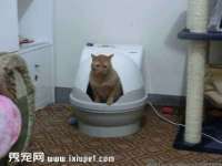 淮安春之宇网络科技有限公司