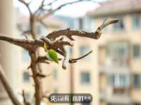 淮安春之宇网络科技有限公司