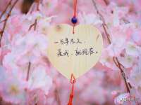 淮安春之宇网络科技有限公司
