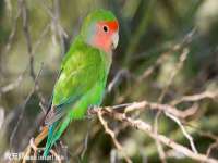 淮安春之宇网络科技有限公司