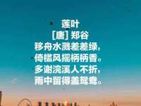 淮安春之宇网络科技有限公司
