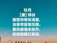 淮安春之宇网络科技有限公司