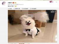 淮安春之宇网络科技有限公司