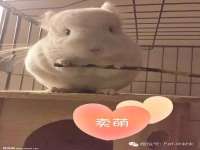 淮安春之宇网络科技有限公司