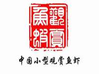 淮安春之宇网络科技有限公司