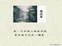 淮安春之宇网络科技有限公司