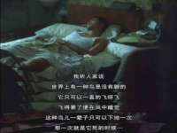 淮安春之宇网络科技有限公司