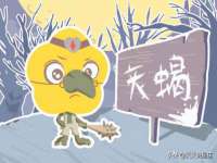 淮安春之宇网络科技有限公司