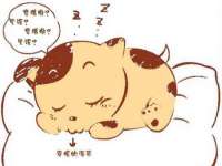 淮安春之宇网络科技有限公司
