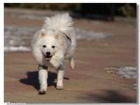 淮安春之宇网络科技有限公司