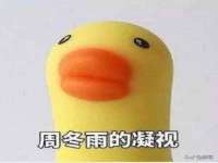 淮安春之宇网络科技有限公司