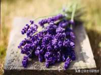 淮安春之宇网络科技有限公司