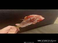 淮安春之宇网络科技有限公司